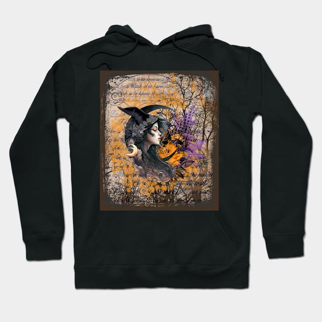 To Be A Witch Hoodie by incarnations